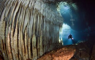 Cuevas del Drach. A. Cirer