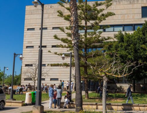 Selectividad en Mallorca 2023: 4.774 estudiantes de Baleares preparados afrontar las PBAU
