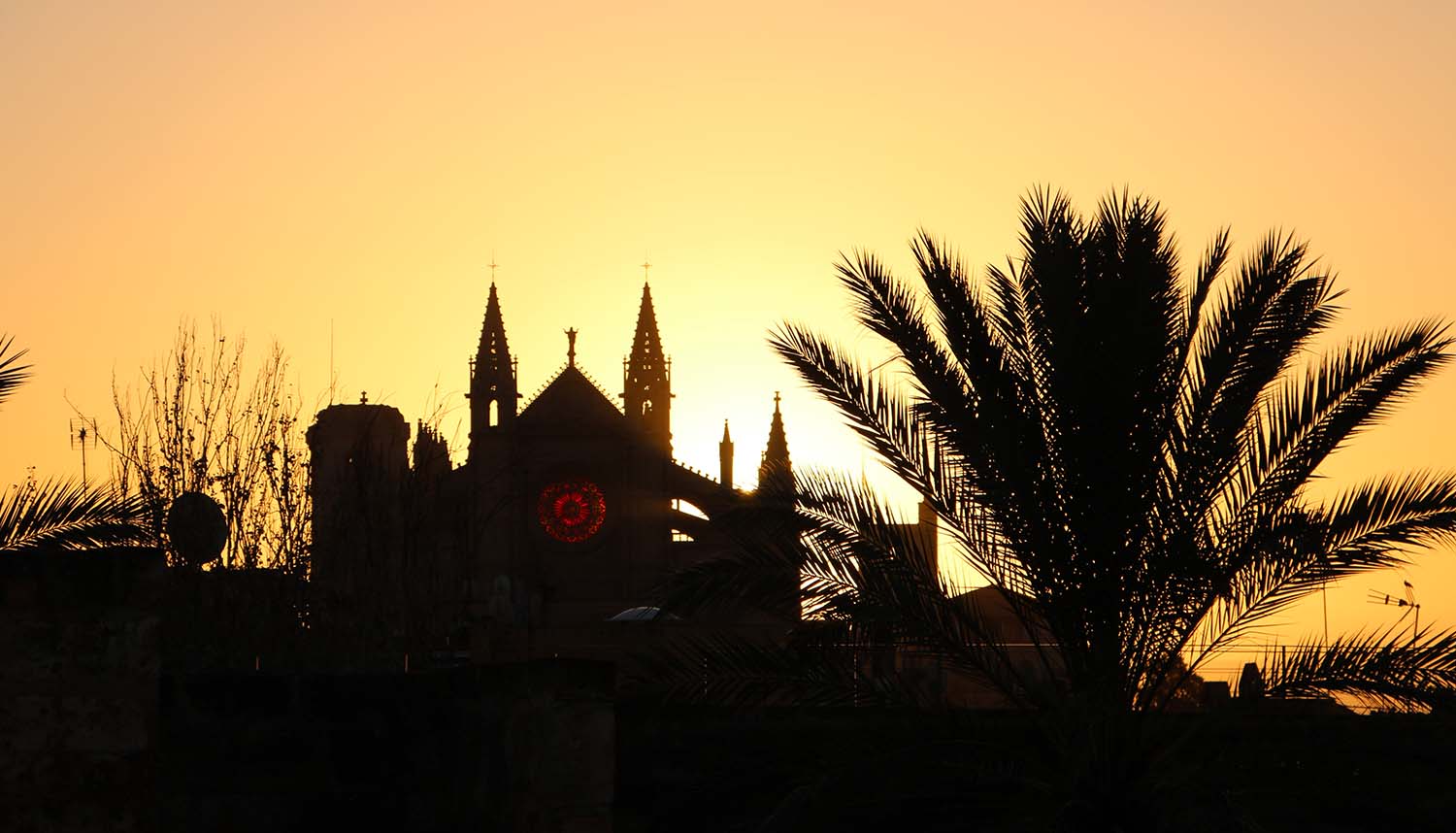 Catedral de Mallorca