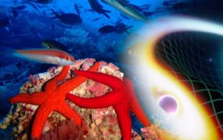 La UIB protagonista de dos programas de investigación