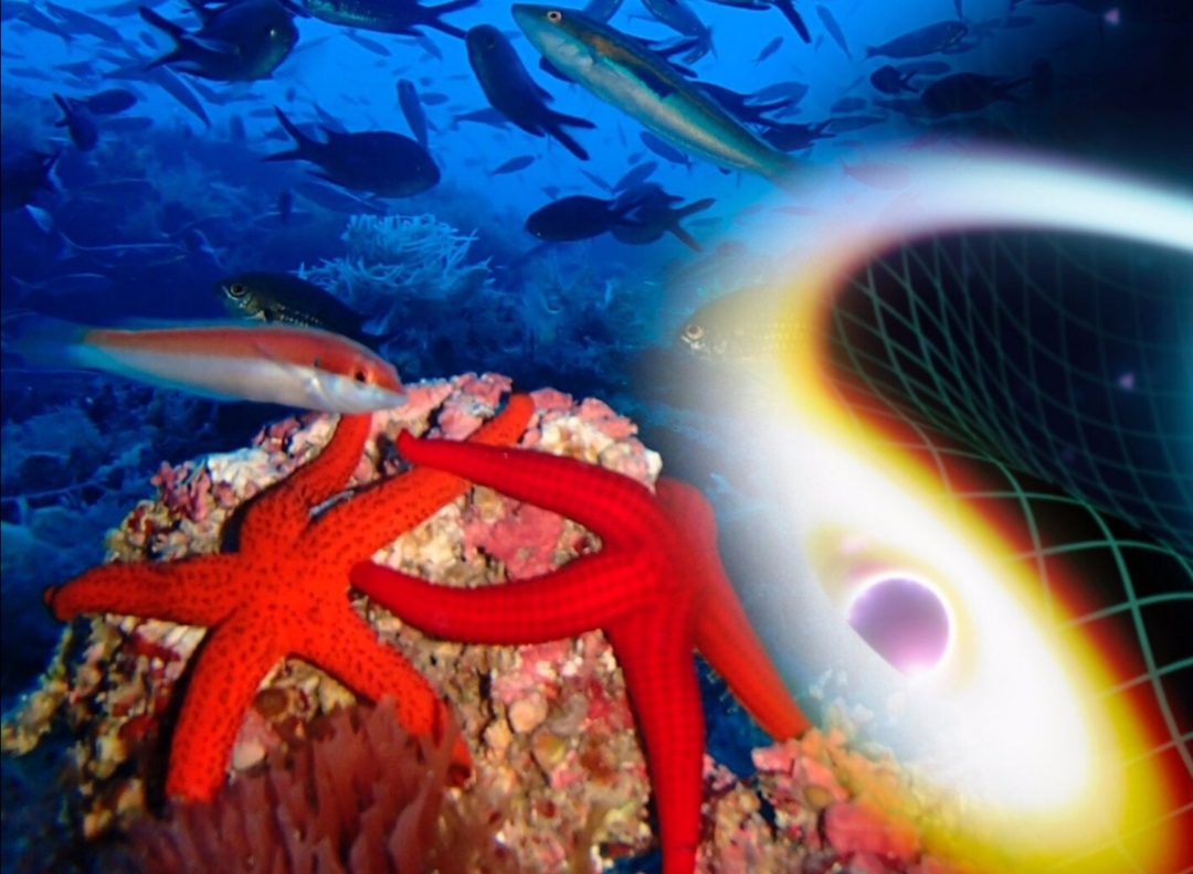 La UIB protagonista de dos programas de investigación