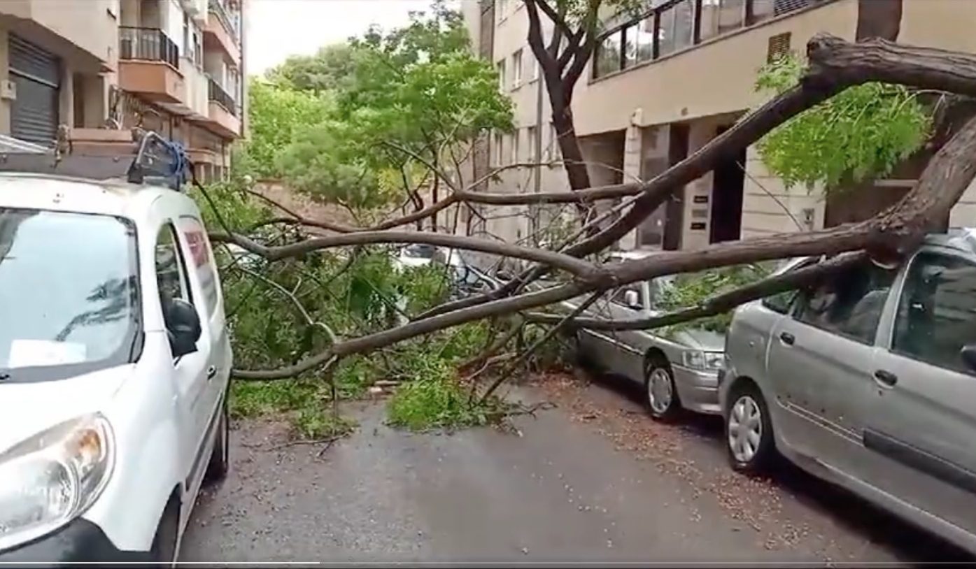 temporal mallorca