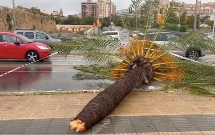 temporal mallorca