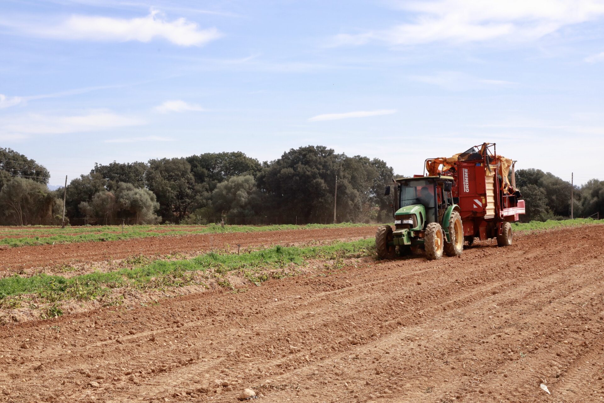 agricultura