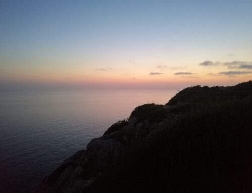 Dónde ver el eclipse solar en Mallorca: las 9 zonas oficiales de observación