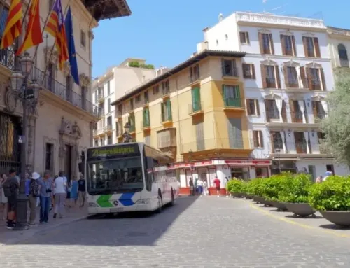 Palma’s buses pass with flying colours