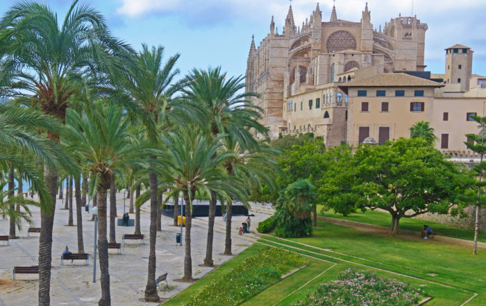 catedral de mallorca