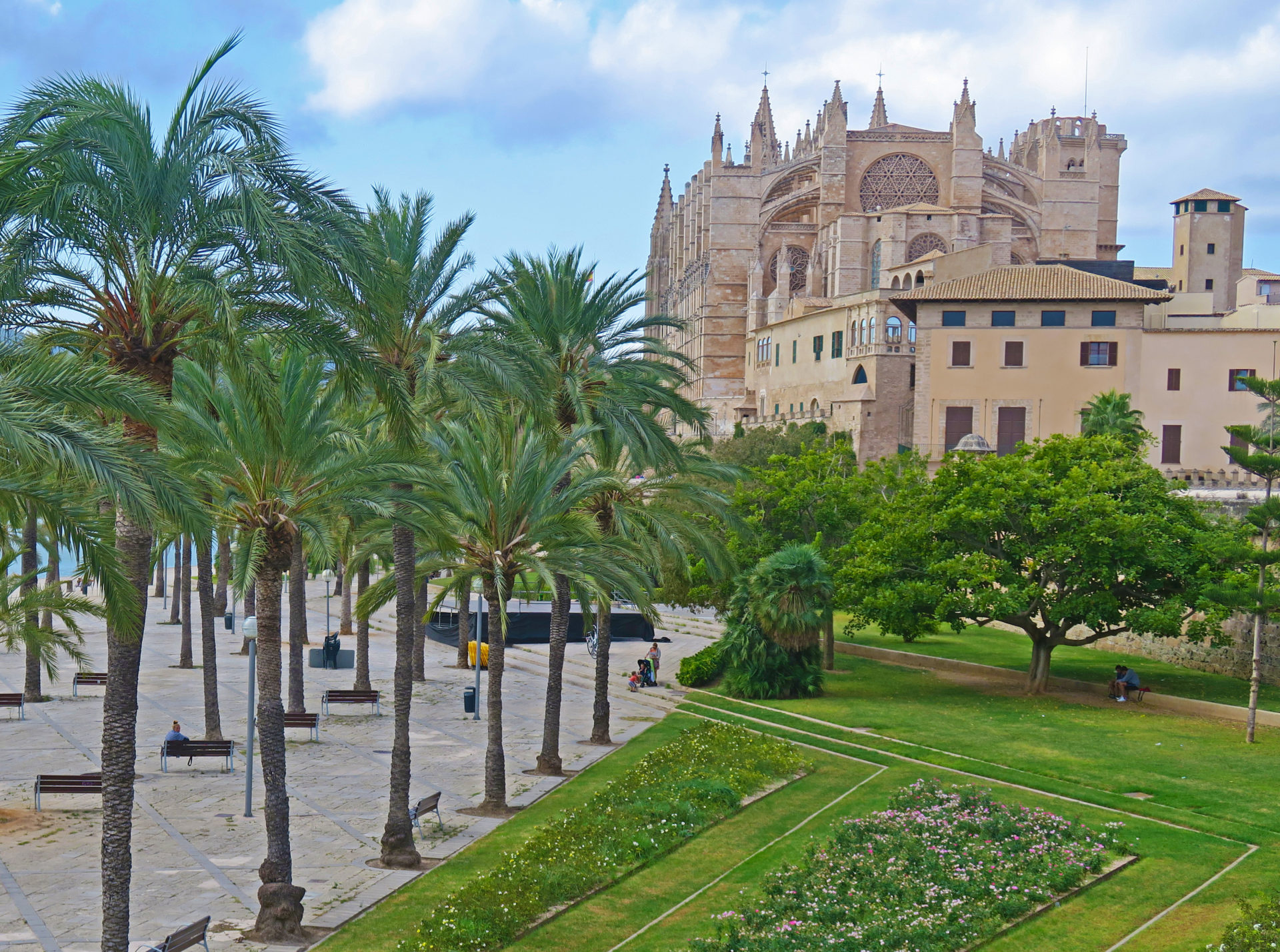 catedral de mallorca
