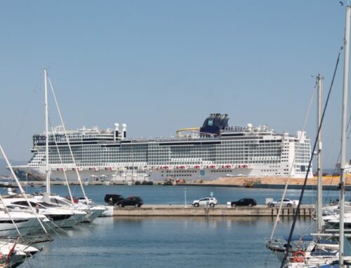 Cruise ship arrivals in the port of Palma down 15% compared to 2018