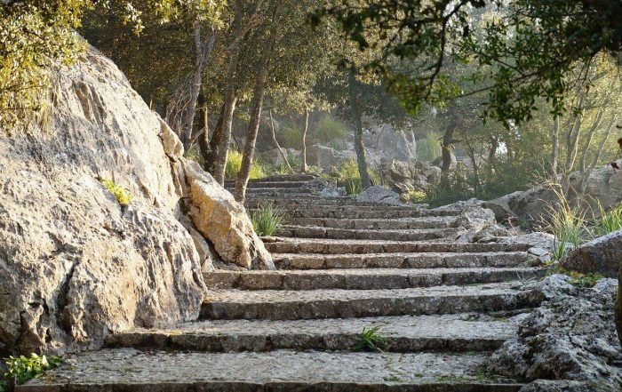 actividades familias serra de mallorca