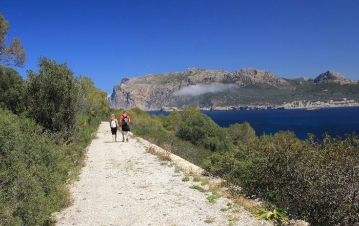 excursiones familiares en mallorca planes