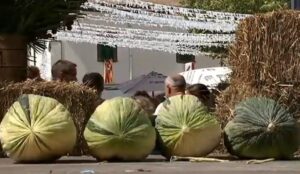 fira del melón vilafranca ib3