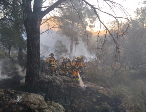 Incendios en Mallorca en 2023: solo 11,5 hectáreas afectadas hasta octubre