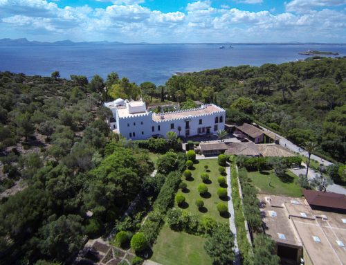Open day at the Sa Bassa Blanca museum for the Day of the Balearic Islands