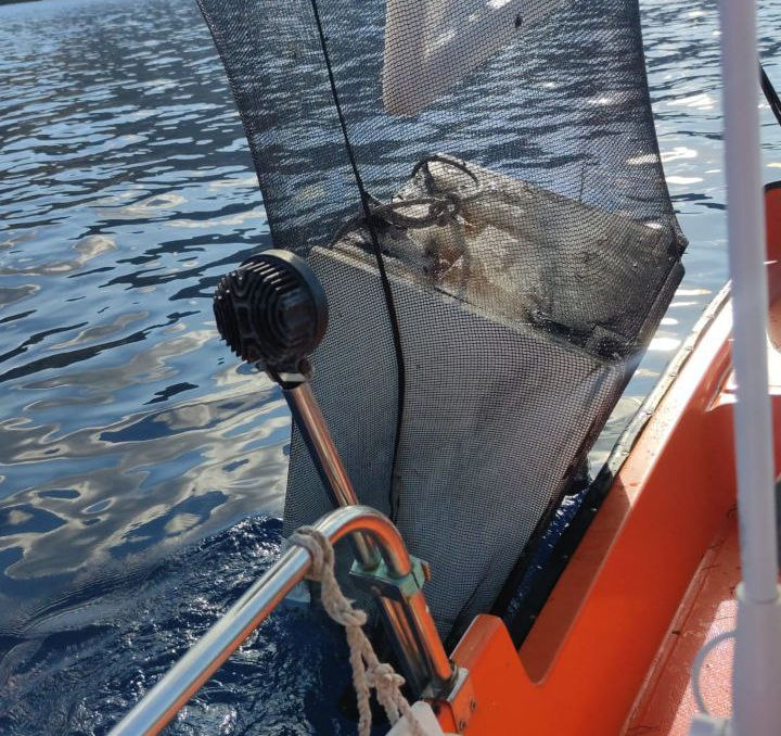 residuos baleares septiembre