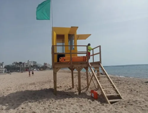 Palma reinforces the safety of its beaches in 2024