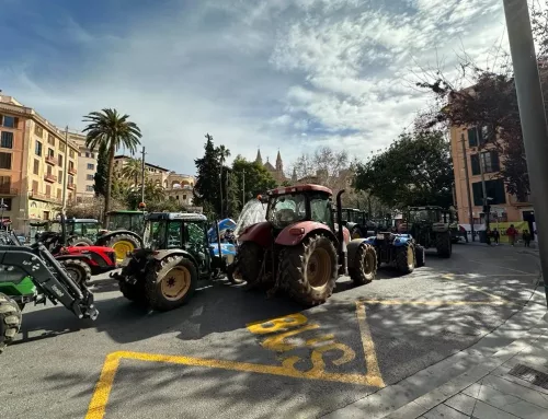 Tractorada en Palma: agricultores de Mallorca colapsan el centro como protesta