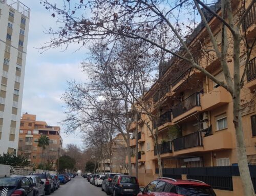 The ‘Build to Rent’ programme aims to promote affordable housing in Mallorca.